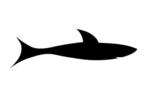 Shark24
